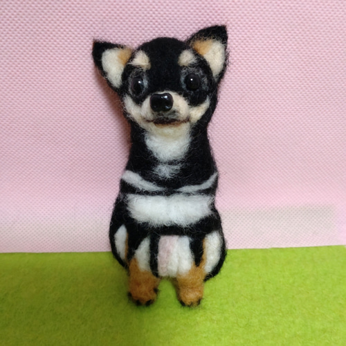 羊毛フェルトのチワワのブローチ （羊毛フェルト チワワ 犬