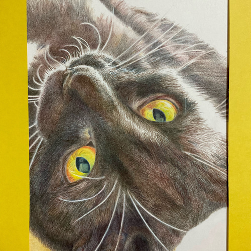 保障できる ネコ 猫 ねこ 動物画 油彩画 タイガー、絵画 寅 トラ 虎 cat 絵画