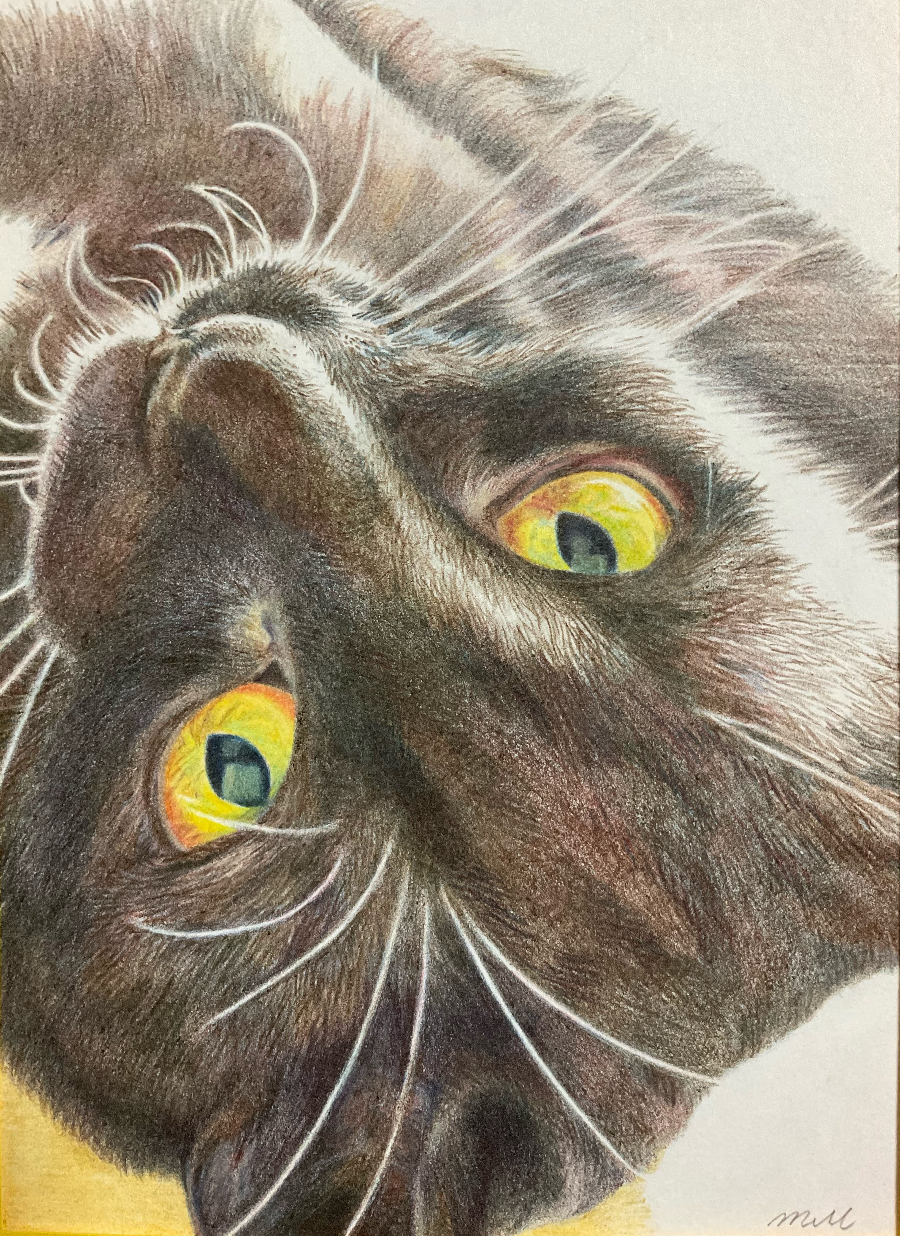 TAKURO さや 手描き猫の絵 TAKURO さや 手描き猫の絵