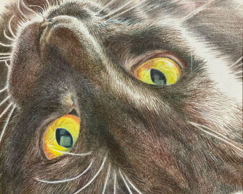 黒トラ猫 絵画 Tiny little studio 通販 14664446｜Creema(クリーマ)