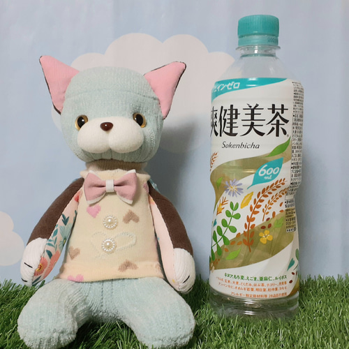 sale】チョコミント色の猫(スムース)□靴下ぬいぐるみ/ソック