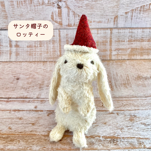 目が合うたびに優しくなれる、着せ替えできるうさぎのロッティー　 11枚目の画像