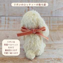 目が合うたびに優しくなれる、着せ替えできるうさぎのロッティー　 16枚目の画像