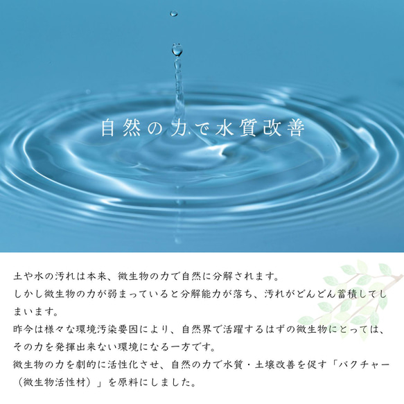 【リネイチャー石鹸】バクチャーを原料にしたオーガニック石鹸【２個セット】 2枚目の画像