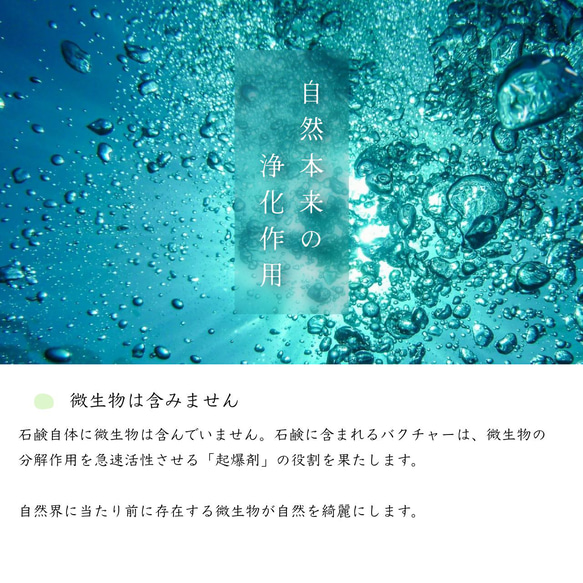 【リネイチャー石鹸】バクチャーを原料にしたオーガニック石鹸【２個セット】 3枚目の画像