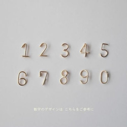 数字(ナンバー)2ケタサイドネックレス [シルバー925] 5枚目の画像
