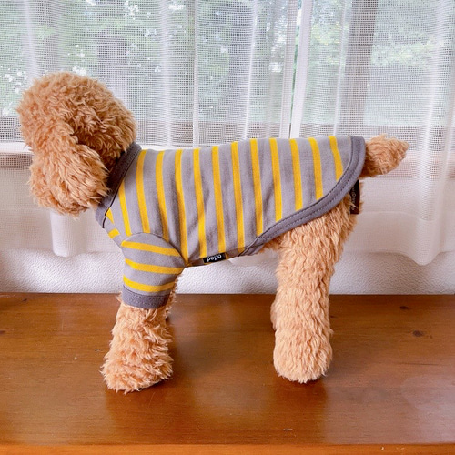 たかこ様☆犬服☆ハンドメイドオーダー☆2着✩.*˚