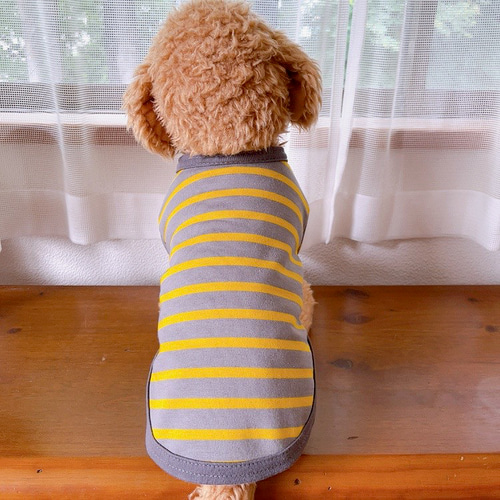 犬服 マスタードイエロー×グレー ボーダーTシャツ ペット服