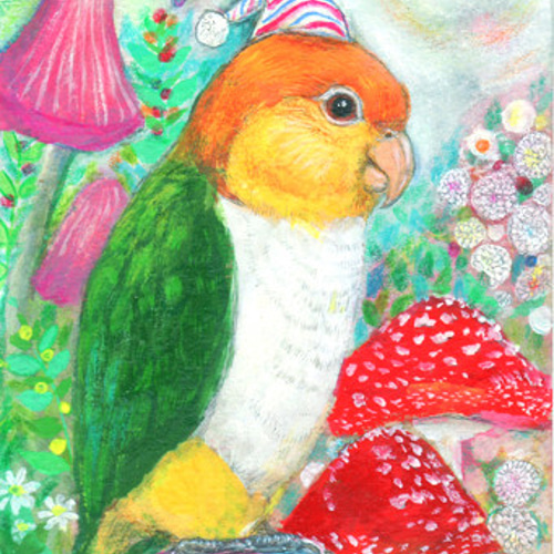 シロハラインコの水彩画【森のサーカス団】（原画 鳥 インコ