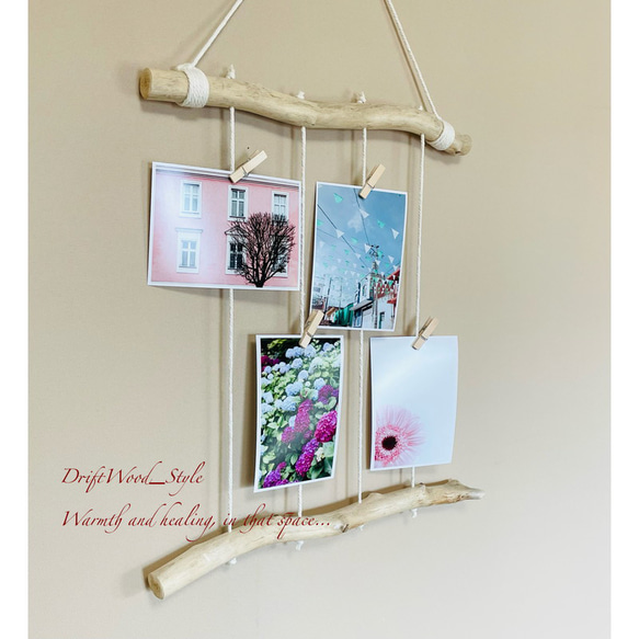 流木インテリア 自由に写真を飾れるシンプルなフォトディスプレイ 流木 写真ハンガー ウォールデコ 壁掛け N3 2枚目の画像