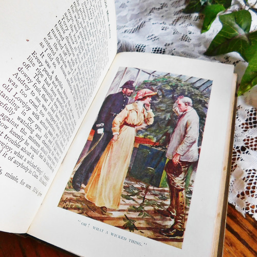 ゜.:。:.19世紀～20世紀初頭 英国のヴィンテージ本3冊セット ブラウン