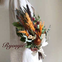 スモークツリー グリーン紫陽花 プロテア パンパスグラス ドライ