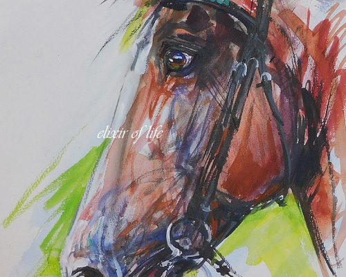 感情、競走馬のポートレート2022（水彩画用紙、A4サイズ、墨、水彩