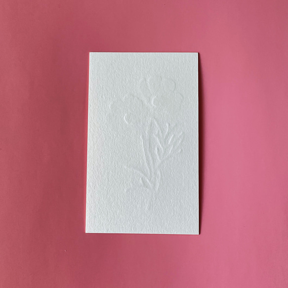 コスモスの名刺サイズミニカード　秋桜 メッセージカード　一言添える【５枚１組】【活版印刷】 8枚目の画像
