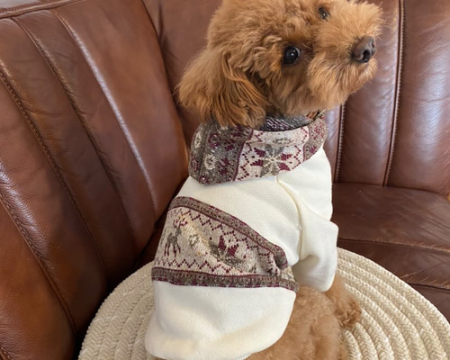 犬服‼︎スノー柄ジャガードニット袖あり❄️全2色XS.S.M.DXS.DS.DM