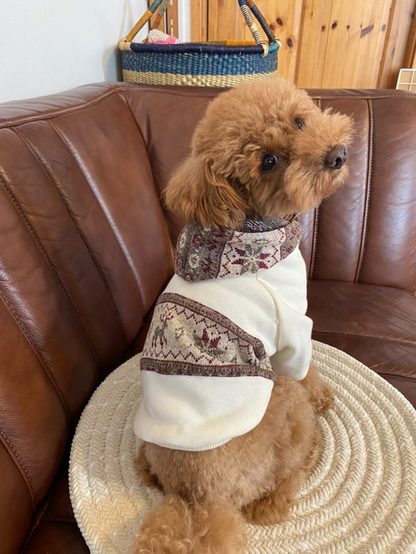 犬服‼︎スノー柄ジャガードニット袖あり❄️全2色XS.S.M.DXS.DS
