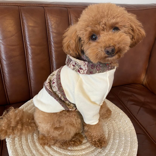 犬服‼︎スノー柄ジャガードニット袖あり❄️全2色XS.S.M.DXS.DS.DM