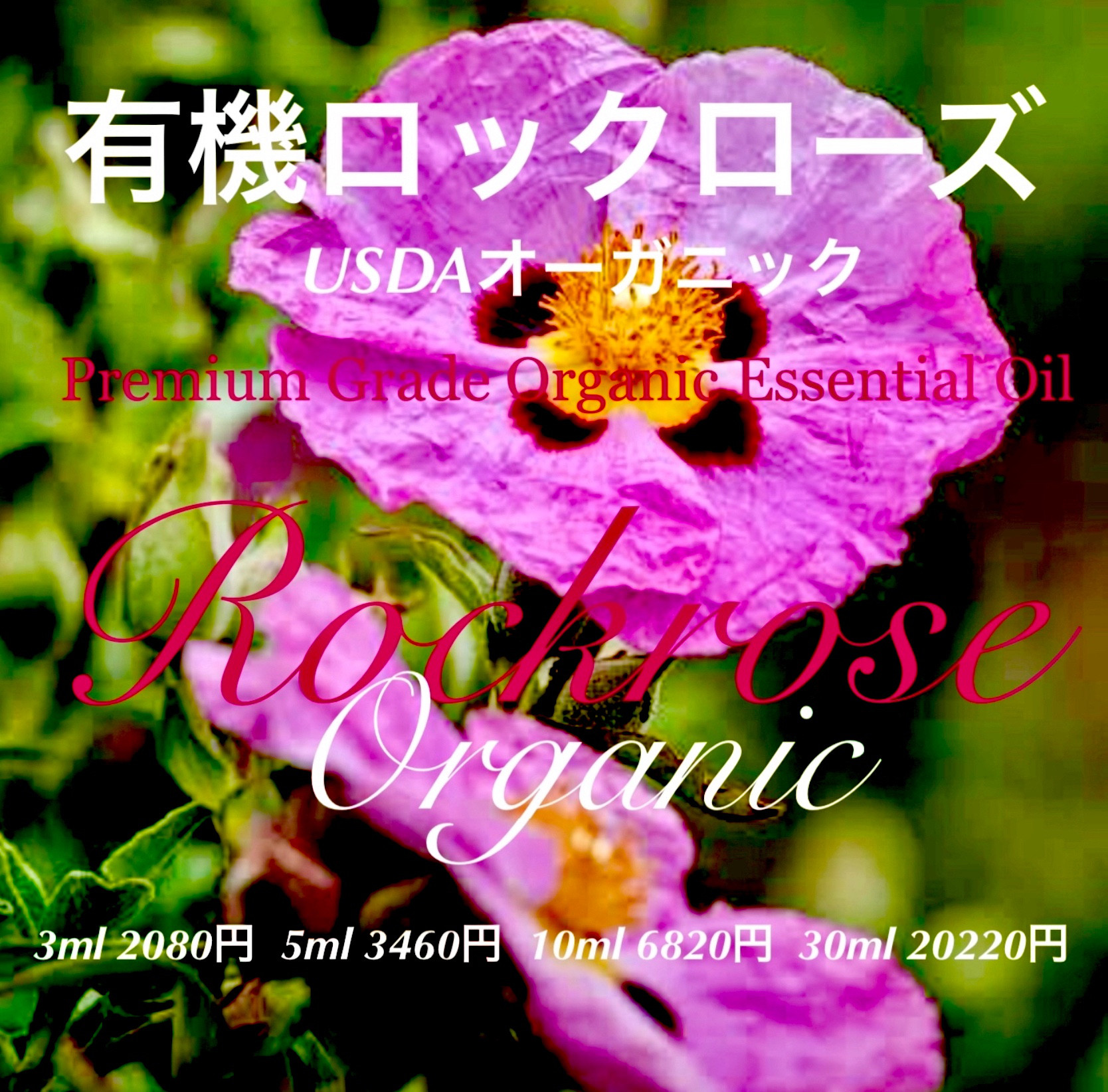 USDAオーガニックロック（シスト）ローズ（水蒸気蒸留法）精油（ラブダナム）10ml