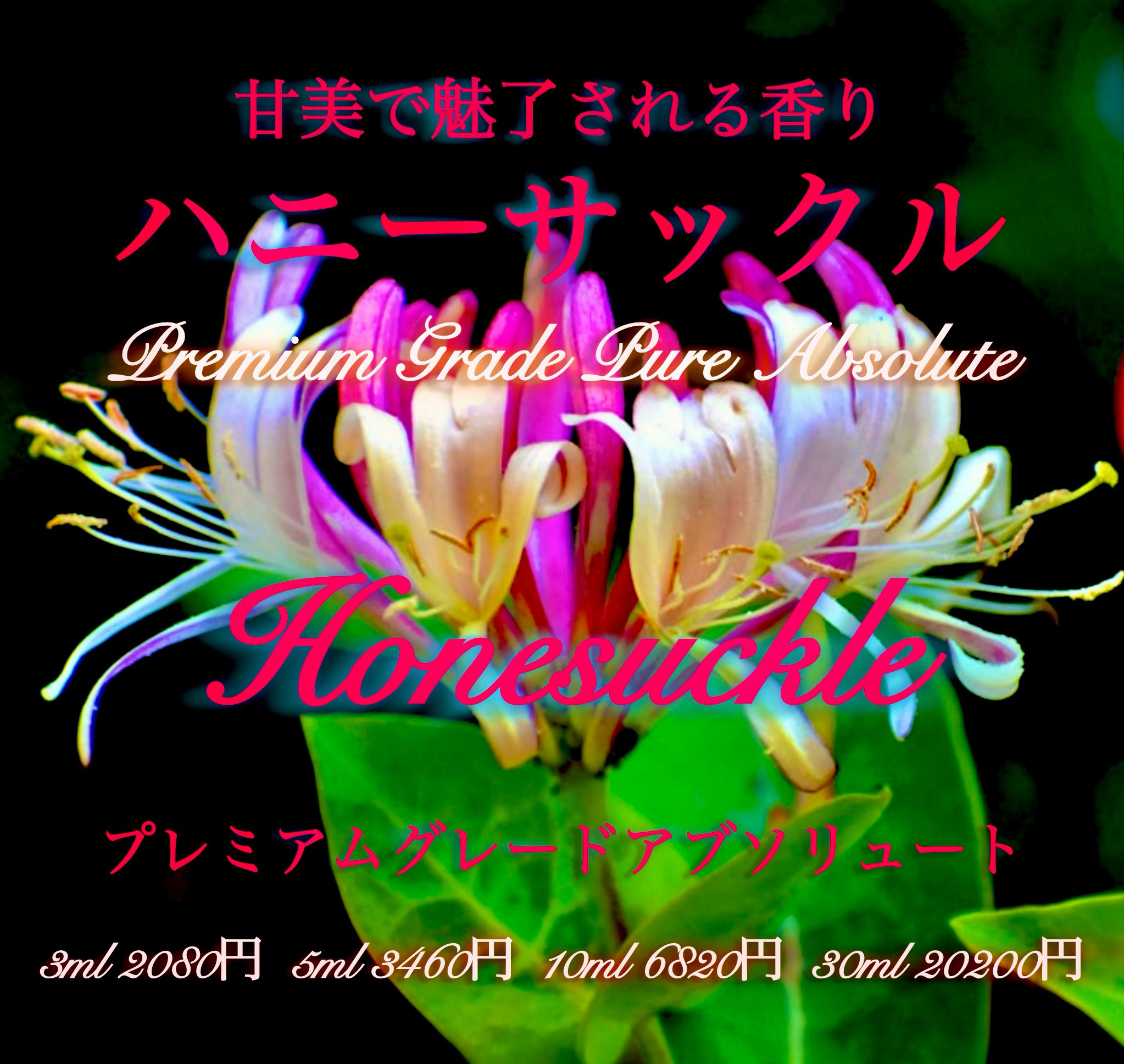 【甘美な香り】ピュアアブソリュートハニーサックル（ワイルド）10ml