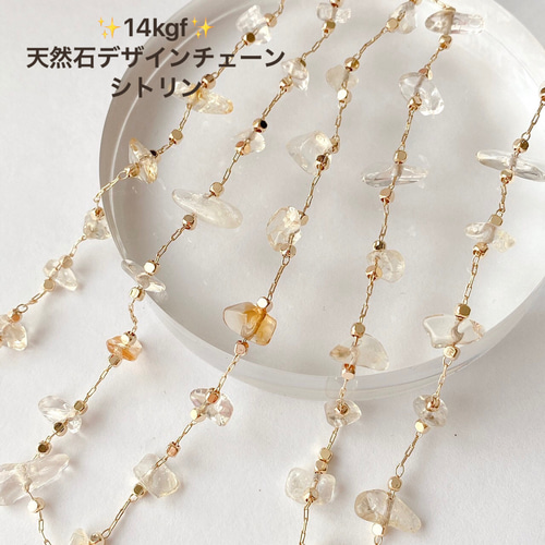 14kgf イニシャルコインネックレス（18gp） ネックレス