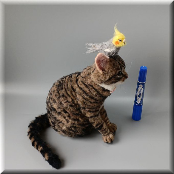 羊毛フェルト　猫　キジトラ猫さん と オカメインコさん　キジトラ　ねこ　ネコ　猫フィギュア 9枚目の画像