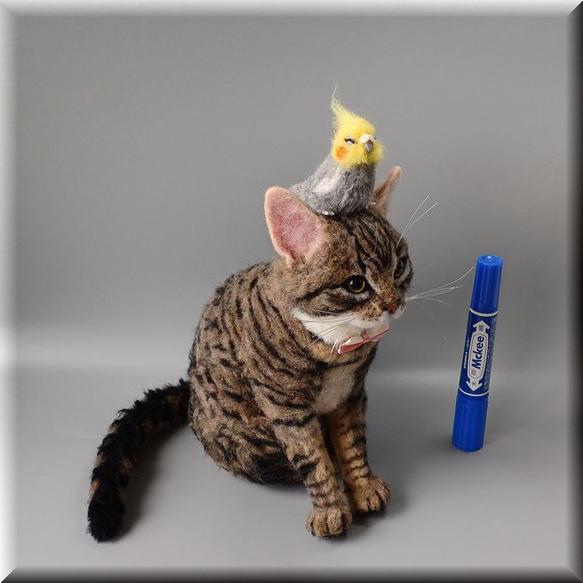 羊毛フェルト　猫　キジトラ猫さん と オカメインコさん　キジトラ　ねこ　ネコ　猫フィギュア 3枚目の画像