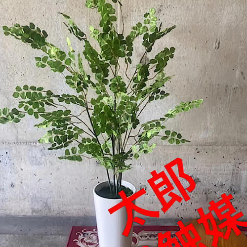 光触媒　人工観葉植物　ウォールグリーン　フェイク　フラワー　アジアンタム花器付