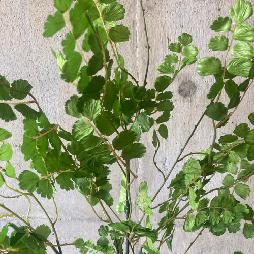 光触媒　人工観葉植物　ウォールグリーン　フェイク　フラワー　アジアンタム花器付大 光触媒 人工観葉植物 ウォールグリーン フェイク フラワー