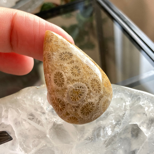 カスタムナイフハンドル材　フォッシルコーラル化石珊瑚 カスタムナイフハンドル材 フォッシルコーラル化石珊瑚