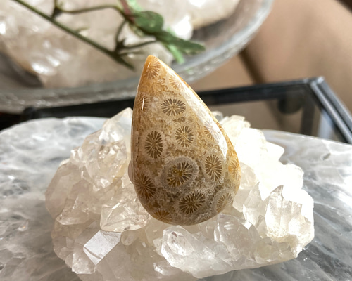 ca363a22e700aefb3c85d04f84fc21