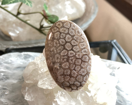 24cdc747cb7a000da181ba4bb2a67f