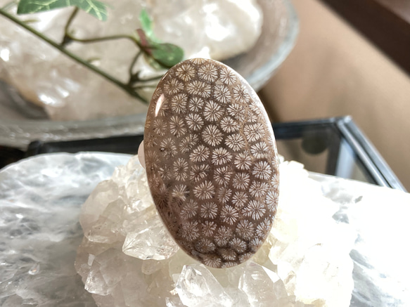 フォッシルコーラル・化石珊瑚（小花柄） 天然石ルース13 天然石