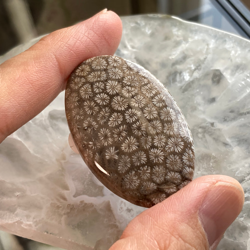 フォッシルコーラル・化石珊瑚（小花柄） 天然石ルース13 天然石