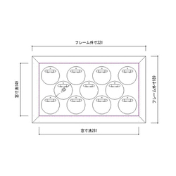  第2張的照片