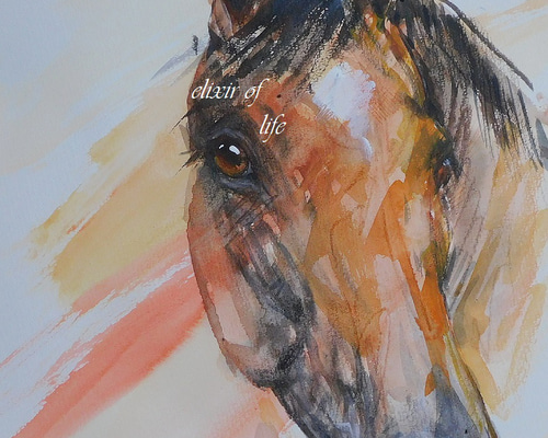 51ce9a4ea7aab6d526385f47a10000