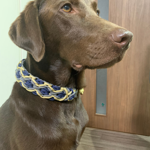 パラコード首輪 デザインNo.16中型犬・大型犬首輪 リード・首輪