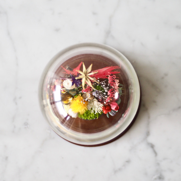 卵に眠る箱庭『ちいさな紅葉』 5枚目の画像