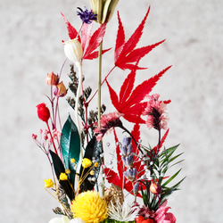 卵に眠る箱庭『ちいさな紅葉』 3枚目の画像