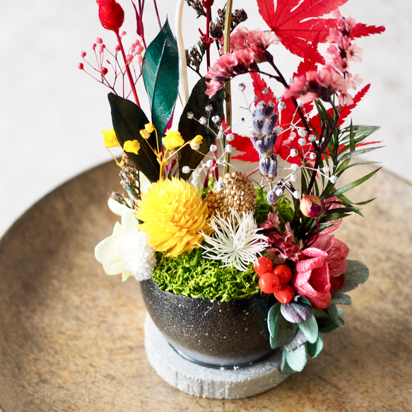 卵に眠る箱庭『ちいさな紅葉』 2枚目の画像