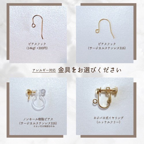 ぷしゅ❇️様専用❤️ サージカルネジバネイヤリング 14kgf サージカル