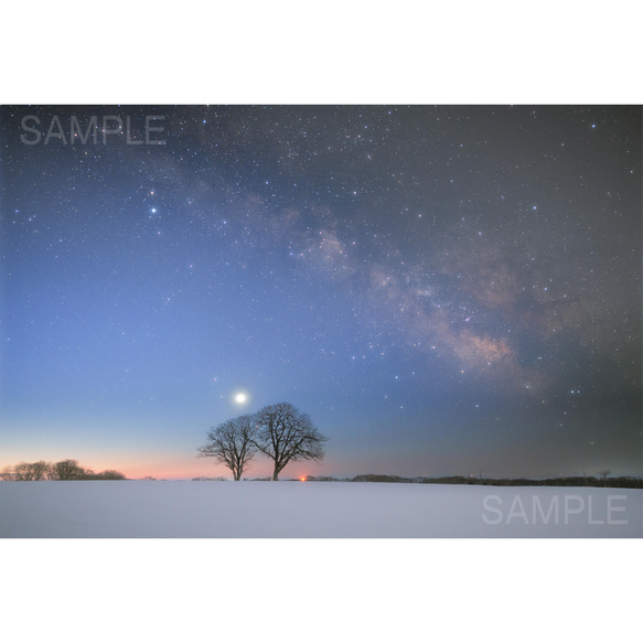 【A4可能】雪原に寄り添う木と、春の天の川・北海道星空写真 2枚目の画像