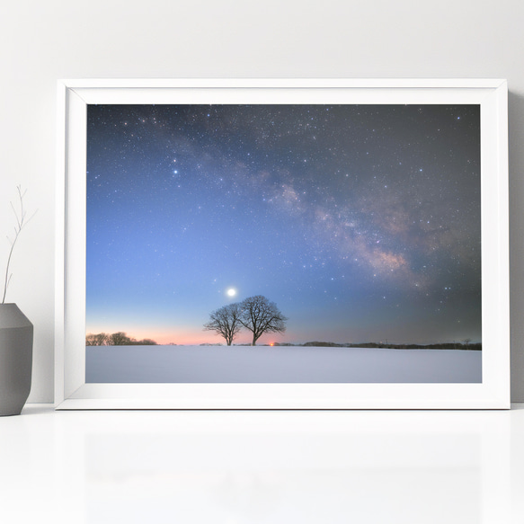 【A4可能】雪原に寄り添う木と、春の天の川・北海道星空写真 1枚目の画像