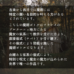 黄金魔術財宝招来／貧乏縁切り金財オーラアップのお守り！お金に愛され豊かに生きるオーラを身に着ける！ 4枚目の画像