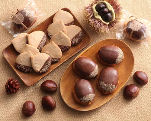 d580a17c8e21aabda421fe74843c67