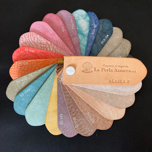 レア‼️ALASKA (アラスカ) セカンドバック(美品) ALASKA(アラスカ) 最新版サンプルカード アズーラ社正規品（La