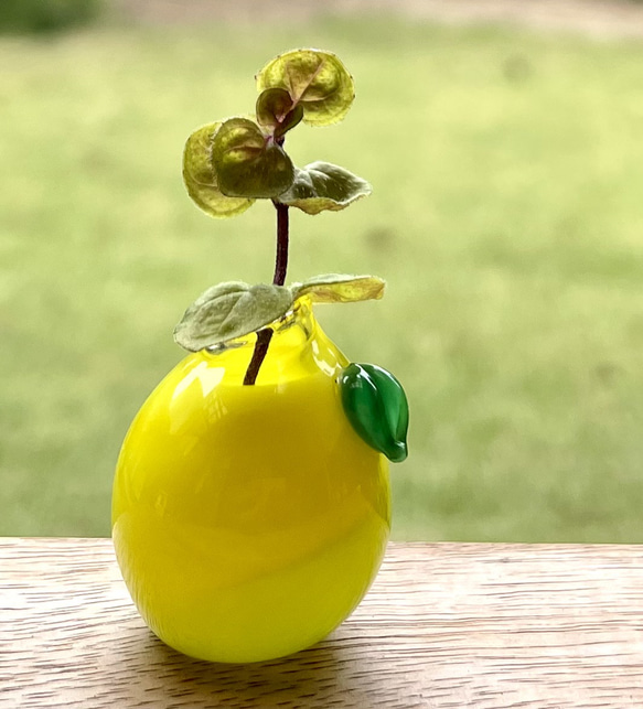 レモンなチビちび花瓶♪♪ ガラス 2枚目の画像