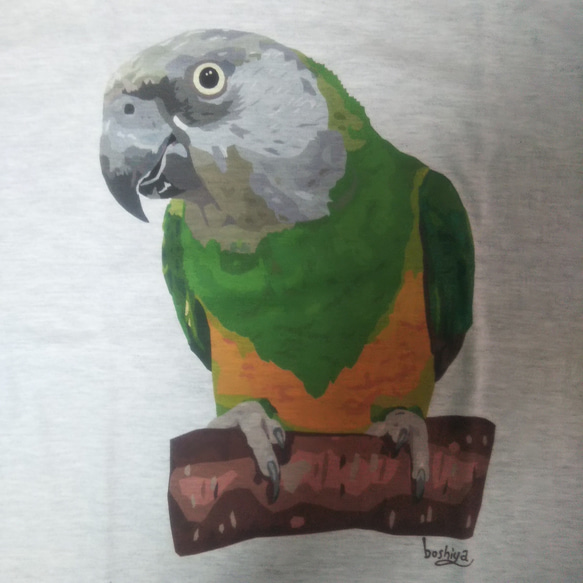 【ご予約受付中】「ネズミガシラハネナガインコ②」Tシャツ  【 サイズ×カラーを選べるオーダーメイド Tシャツ】 8枚目の画像