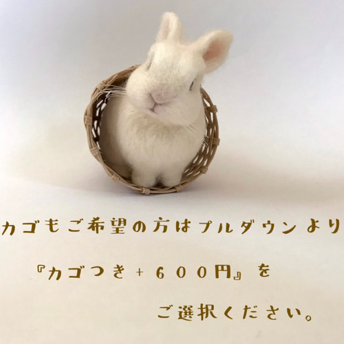 うさぎ 羊毛フェルト ネザーランドドワーフ ミニうさぎ 白 白うさぎ