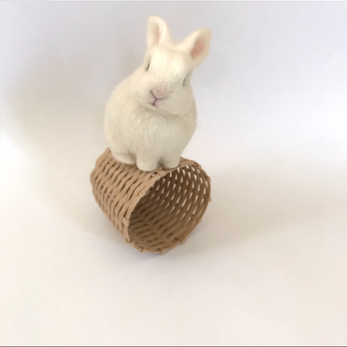 うさぎ 羊毛フェルト ネザーランドドワーフ ミニうさぎ 白 白