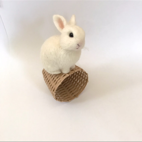うさぎ 羊毛フェルト ネザーランドドワーフ ミニうさぎ 白 白